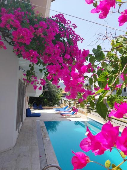 Selenya Apart Marmaris Exterior photo